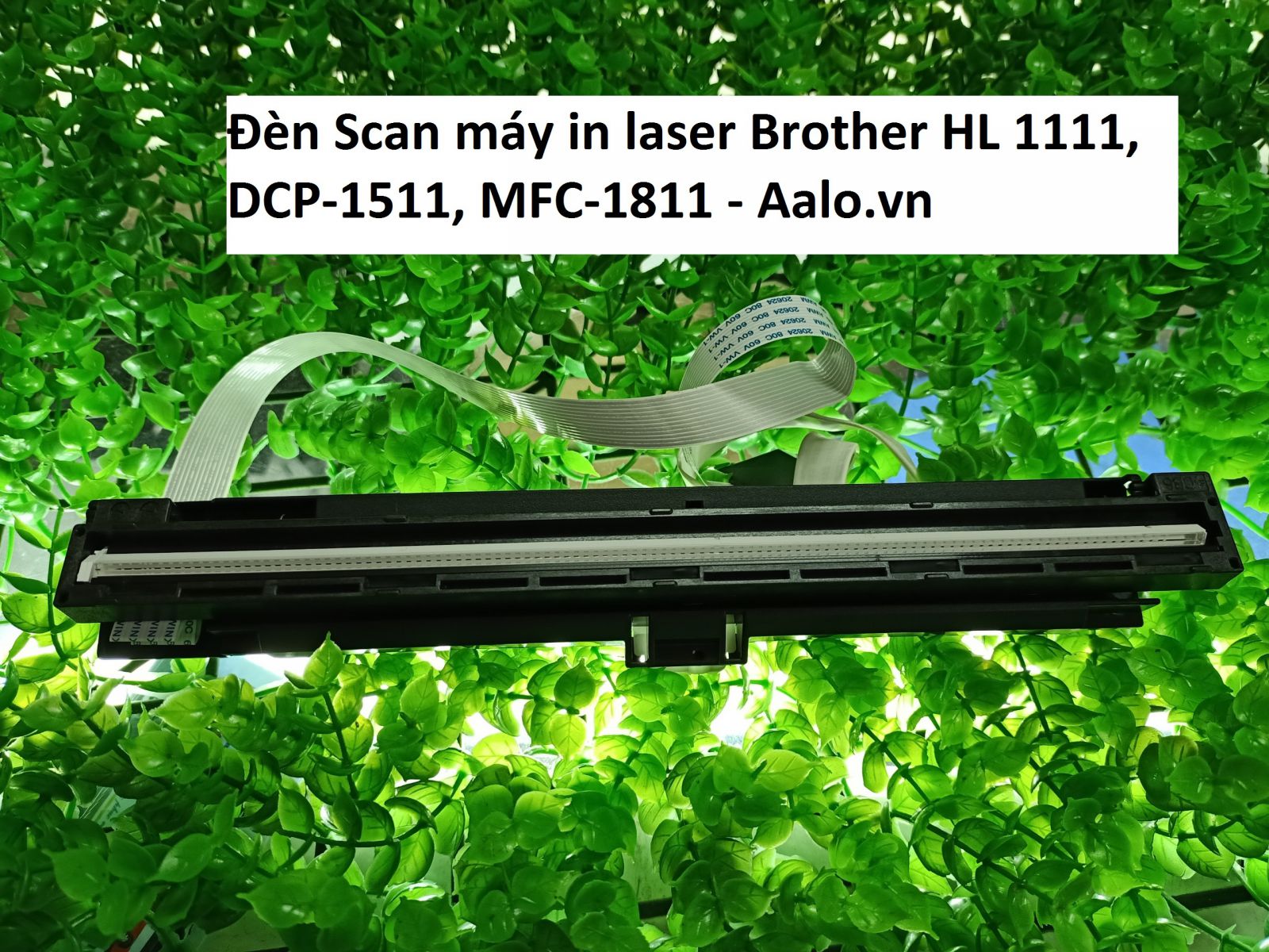 Đèn Scan máy in laser Brother HL 1111, DCP-1511, MFC-1811 - Aalo.vn
