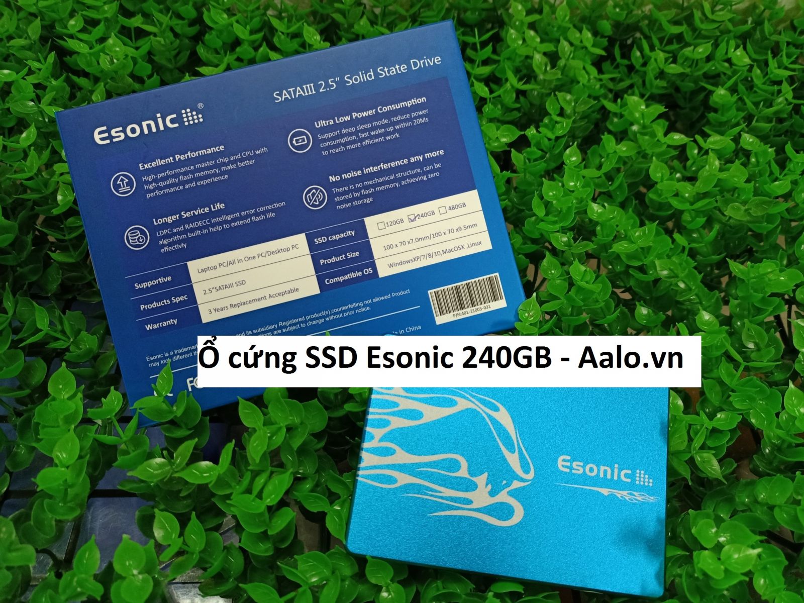 Ổ cứng SSD Esonic 240GB - Aalo.vn
