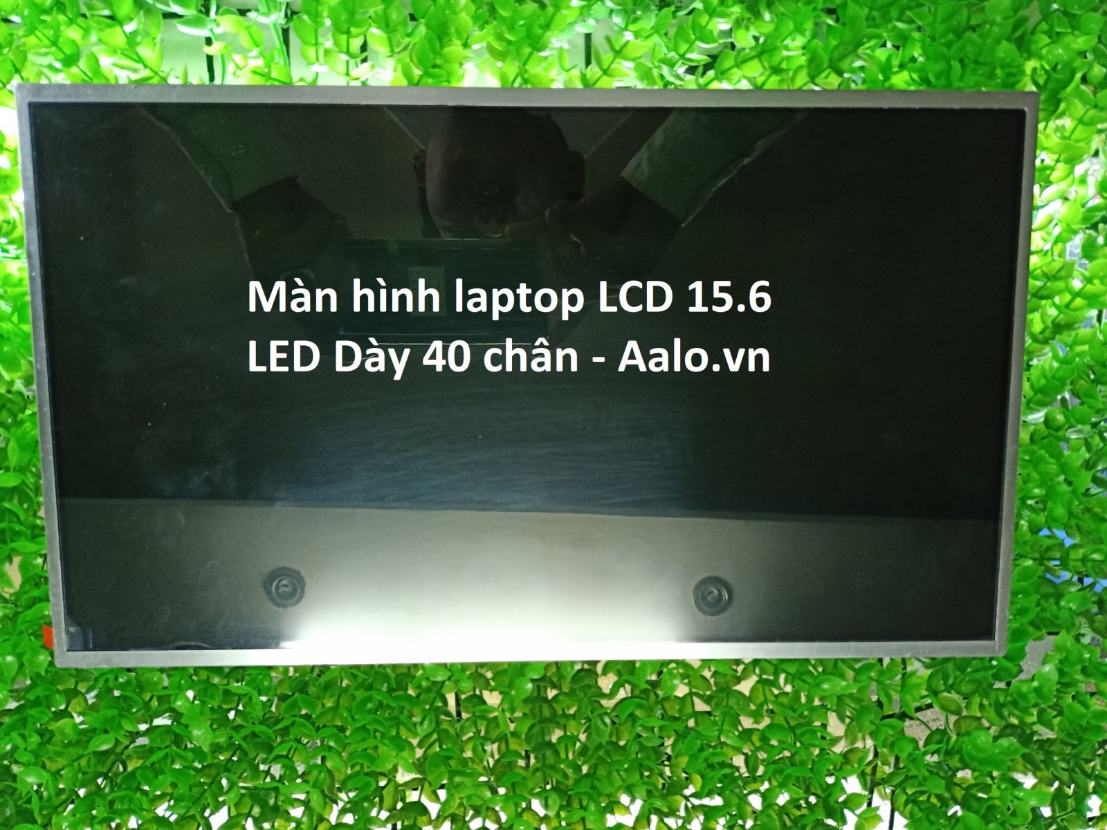 Màn hình Laptop Toshiba Satellite L500 L500D Series - Aalo.vn
