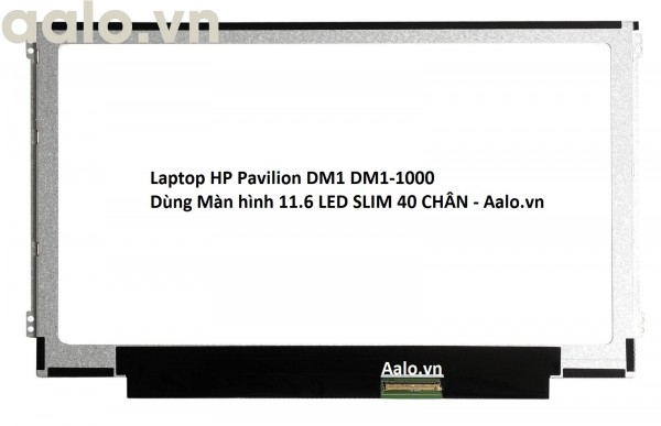 Màn hình Laptop HP Pavilion DM1 DM1-1000