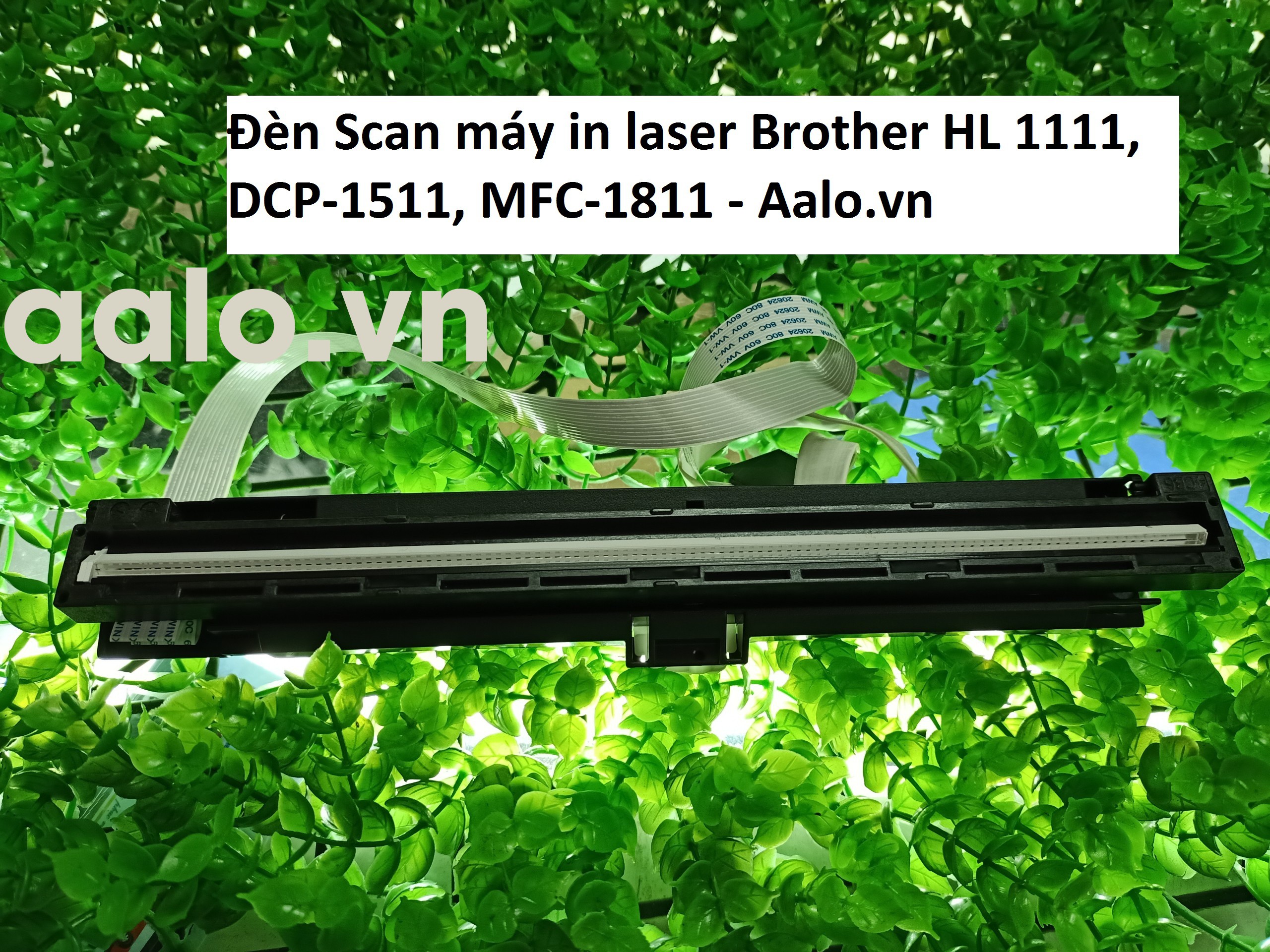 Đèn Scan máy in laser Brother HL 1111, DCP-1511, MFC-1811