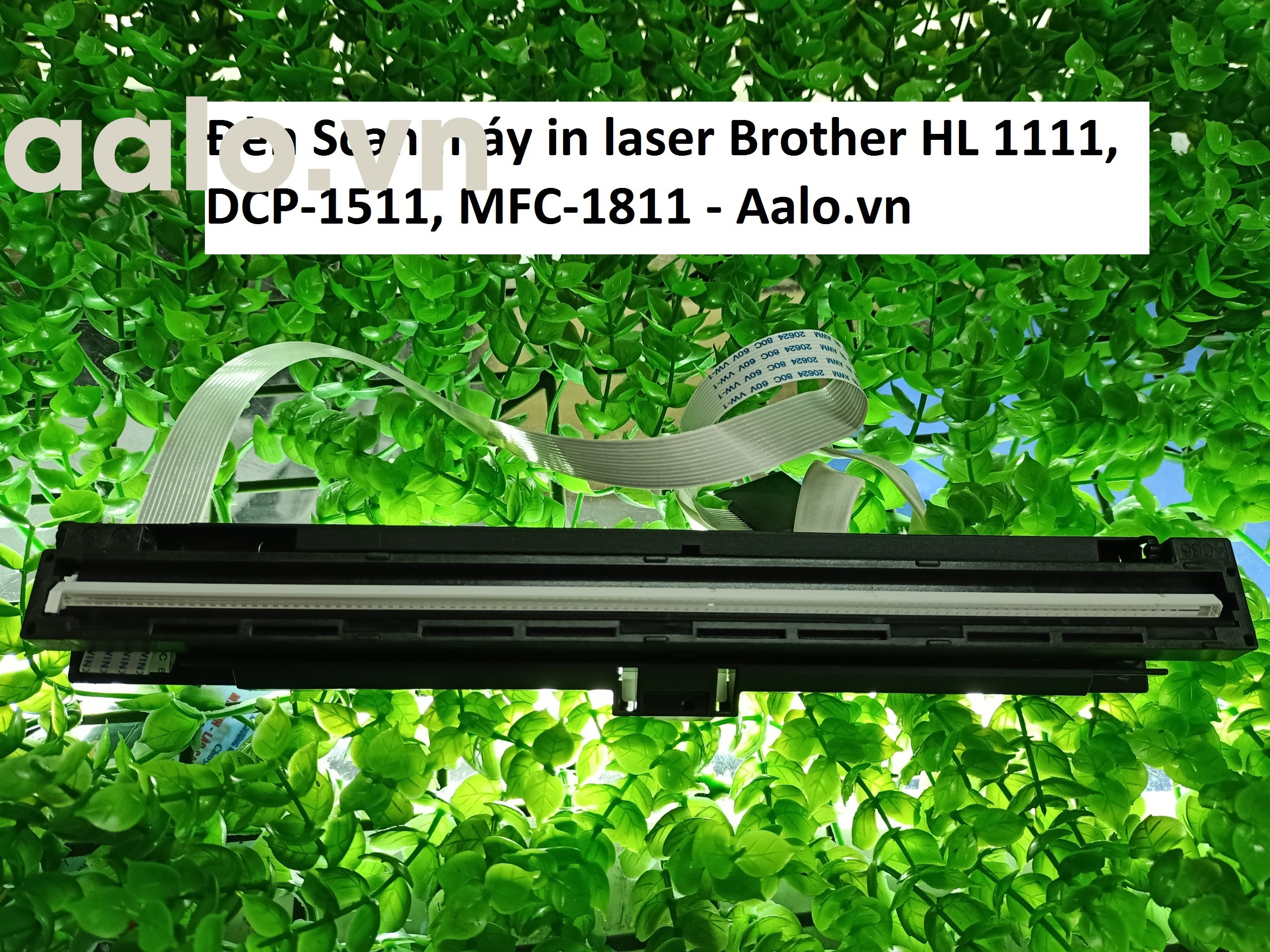 Đèn Scan máy in laser Brother HL 1111, DCP-1511, MFC-1811