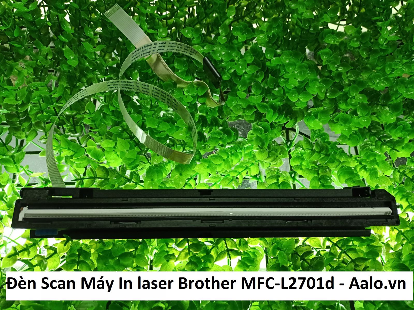 Đèn Scan Máy In laser Brother MFC-L2701d - Aalo.vn
