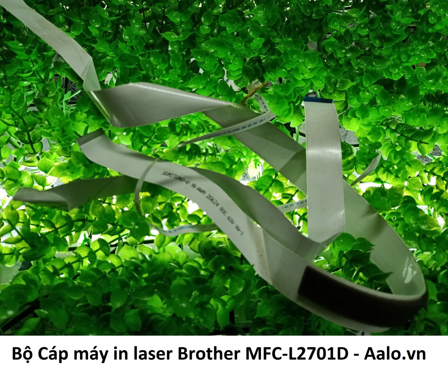 Bộ Cáp máy in laser Brother MFC-L2701D - Aalo.vn