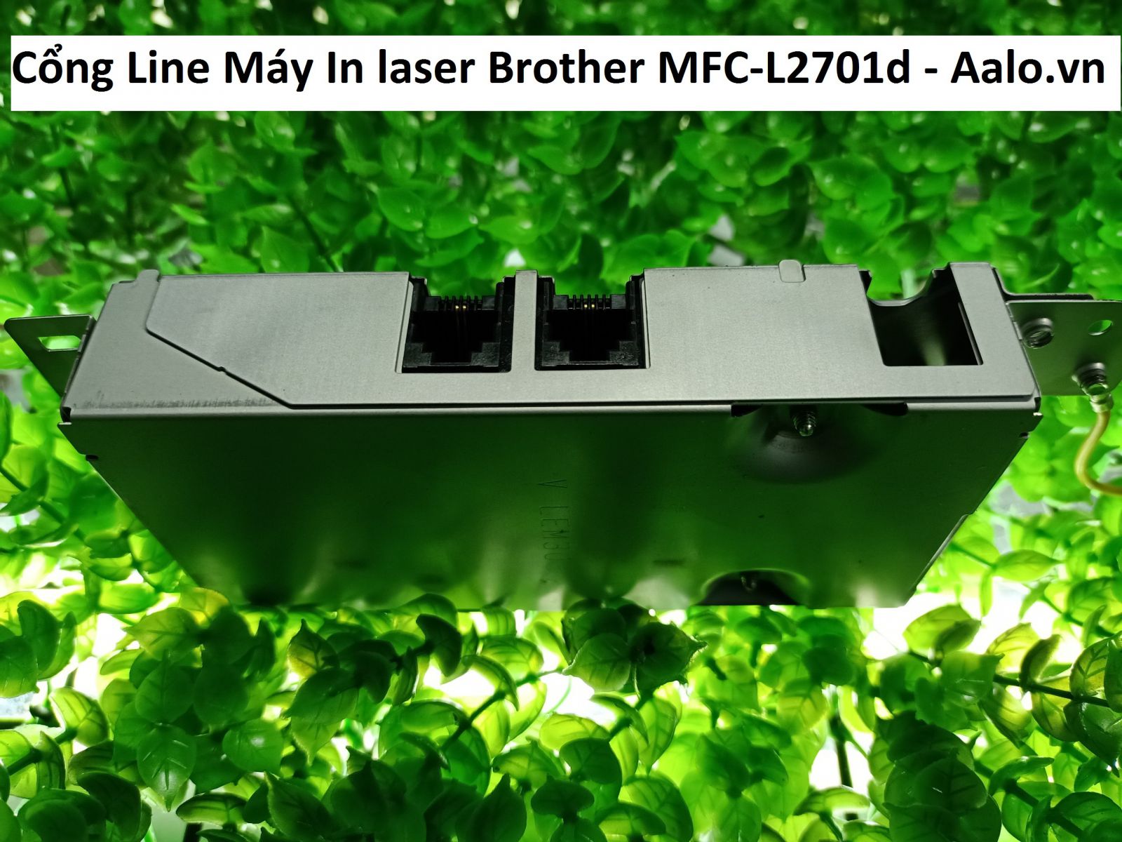 Cổng Line Máy In laser Brother MFC-L2701d - Aalo.vn