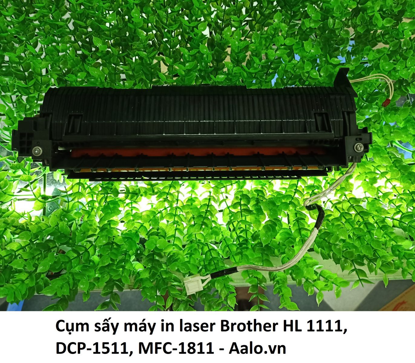 Cụm sấy máy in laser Brother HL 1111, DCP-1511, MFC-1811 - Aalo.vn