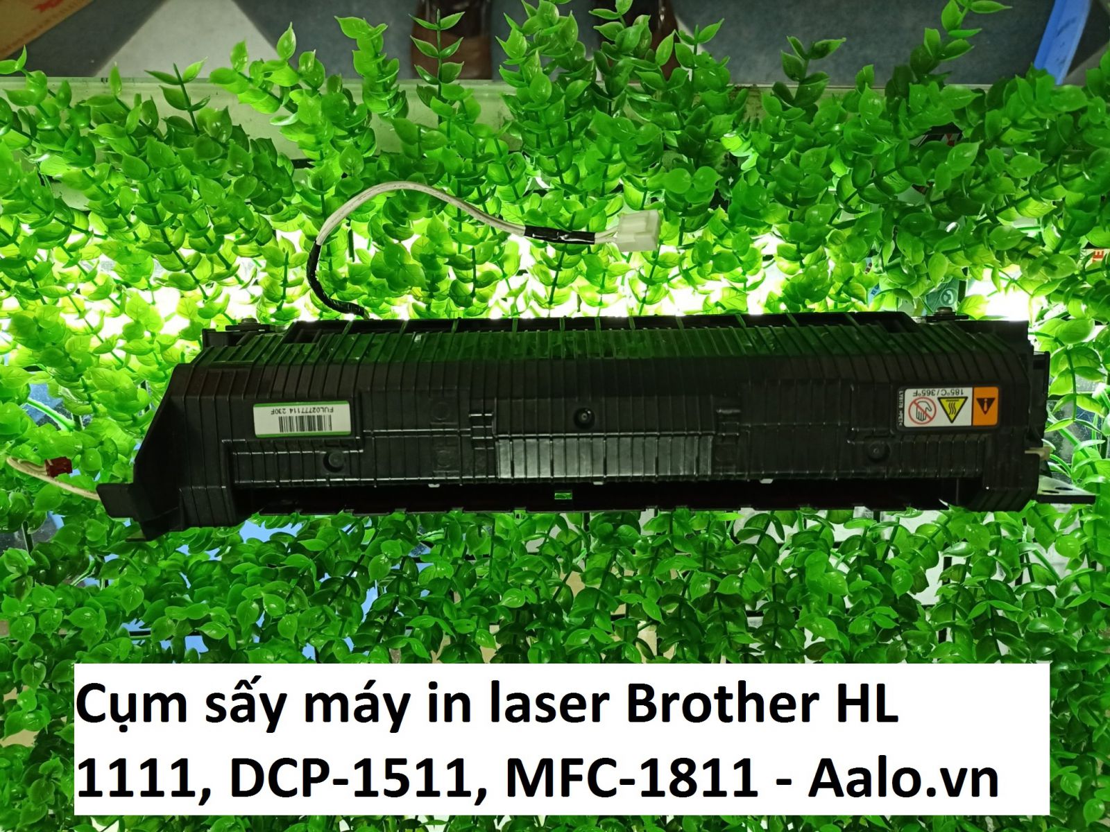 Cụm sấy máy in laser Brother HL 1111, DCP-1511, MFC-1811 - Aalo.vn