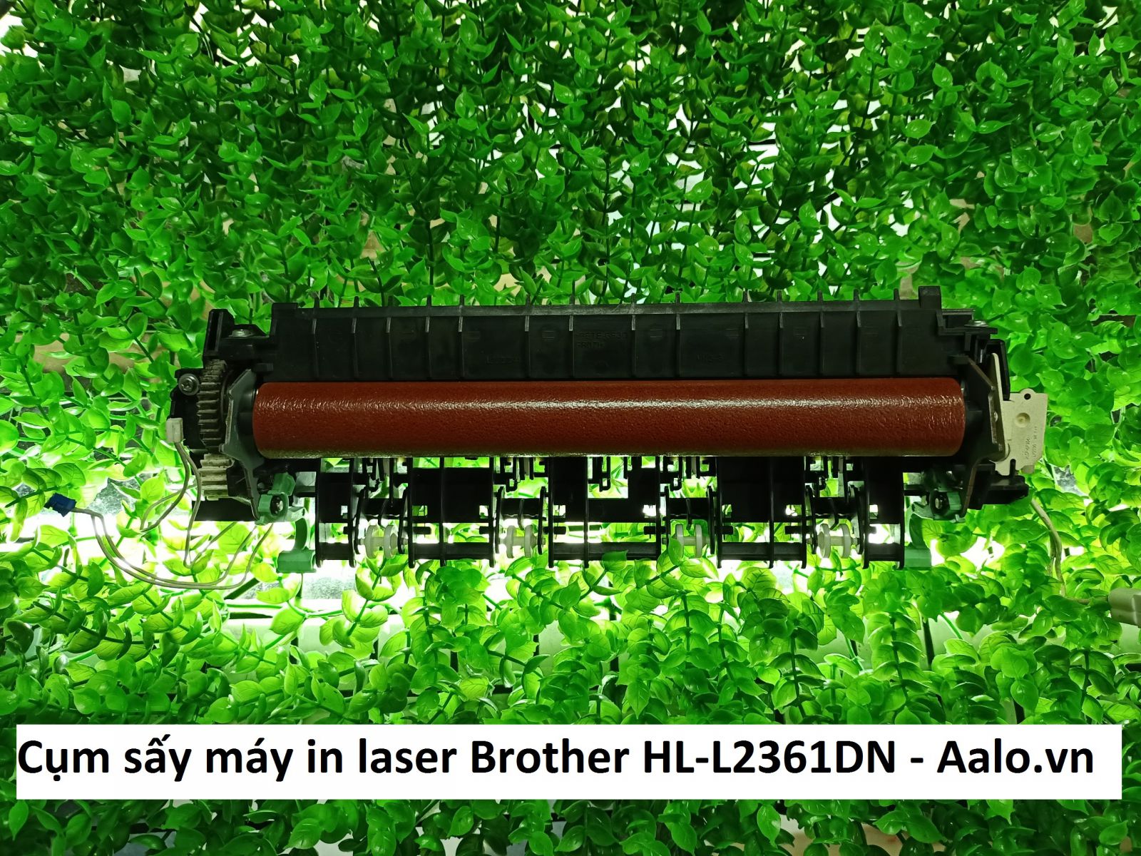 Cụm sấy máy in laser Brother HL-L2361DN - Aalo.vn