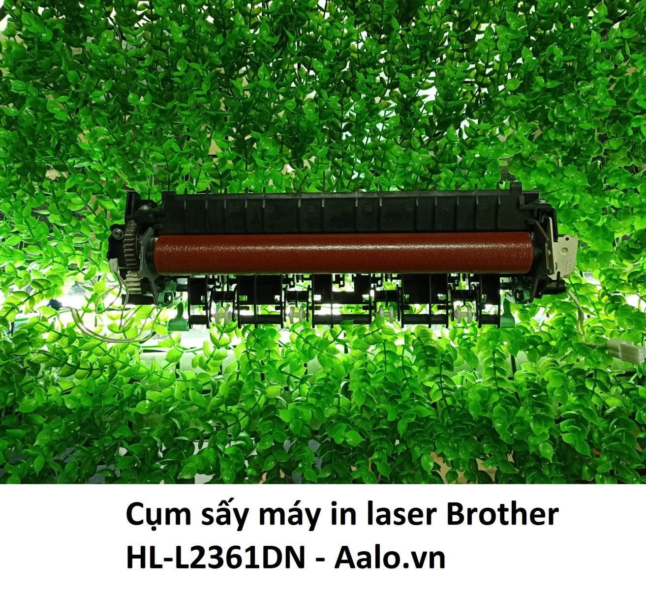 Cụm sấy máy in laser Brother HL-L2361DN - Aalo.vn