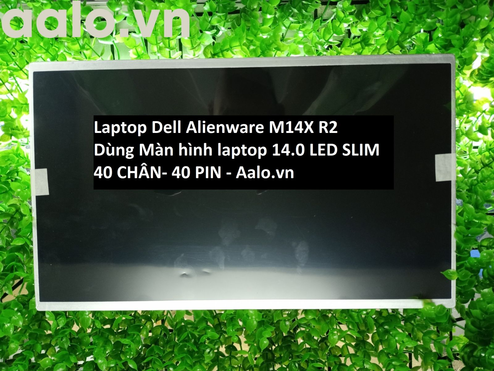 Màn hình Laptop Dell Alienware M14X R2 - Aalo.vn
