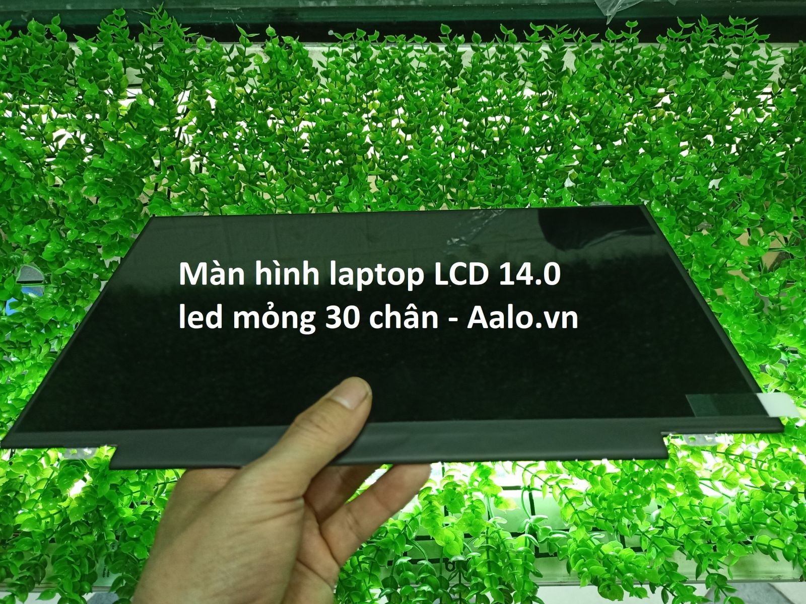 Màn hình Laptop Lenovo Ideapad 110-14IBR - Aalo.vn