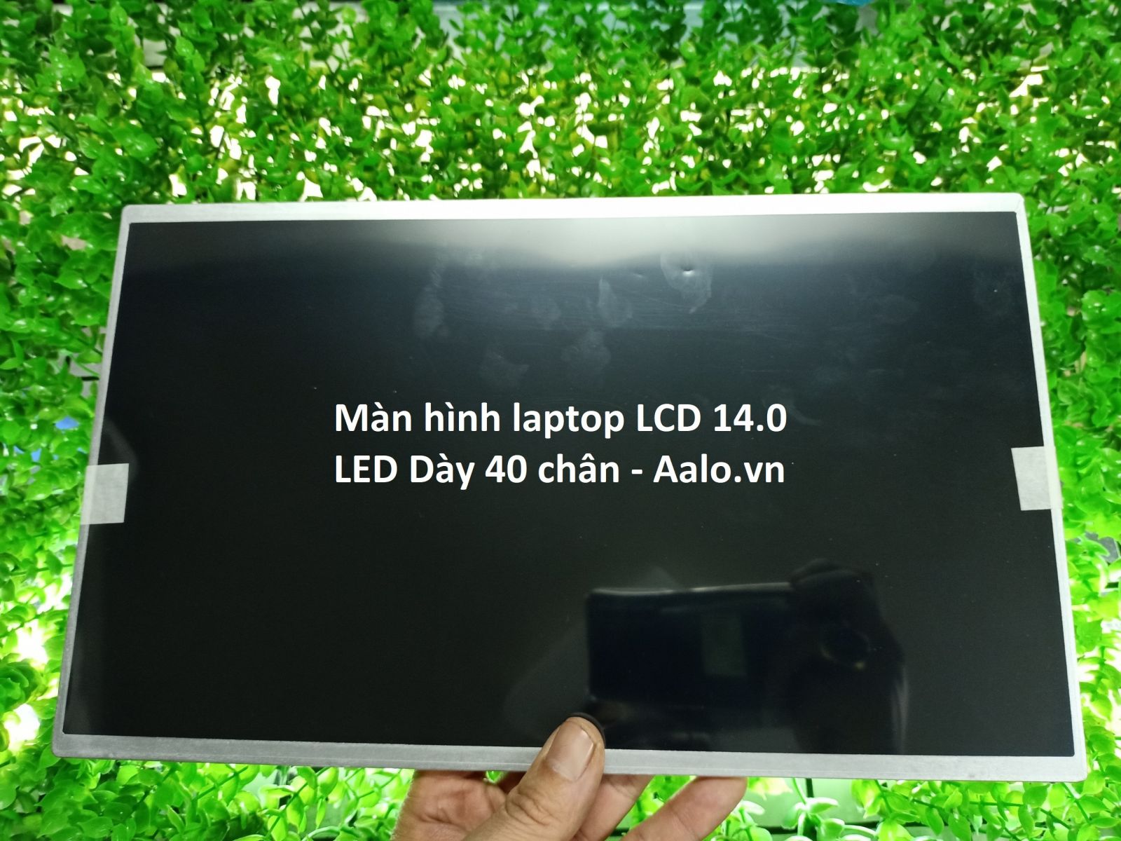 Màn hình Laptop Lenovo Thinkpad SL410 - Aalo.vn
