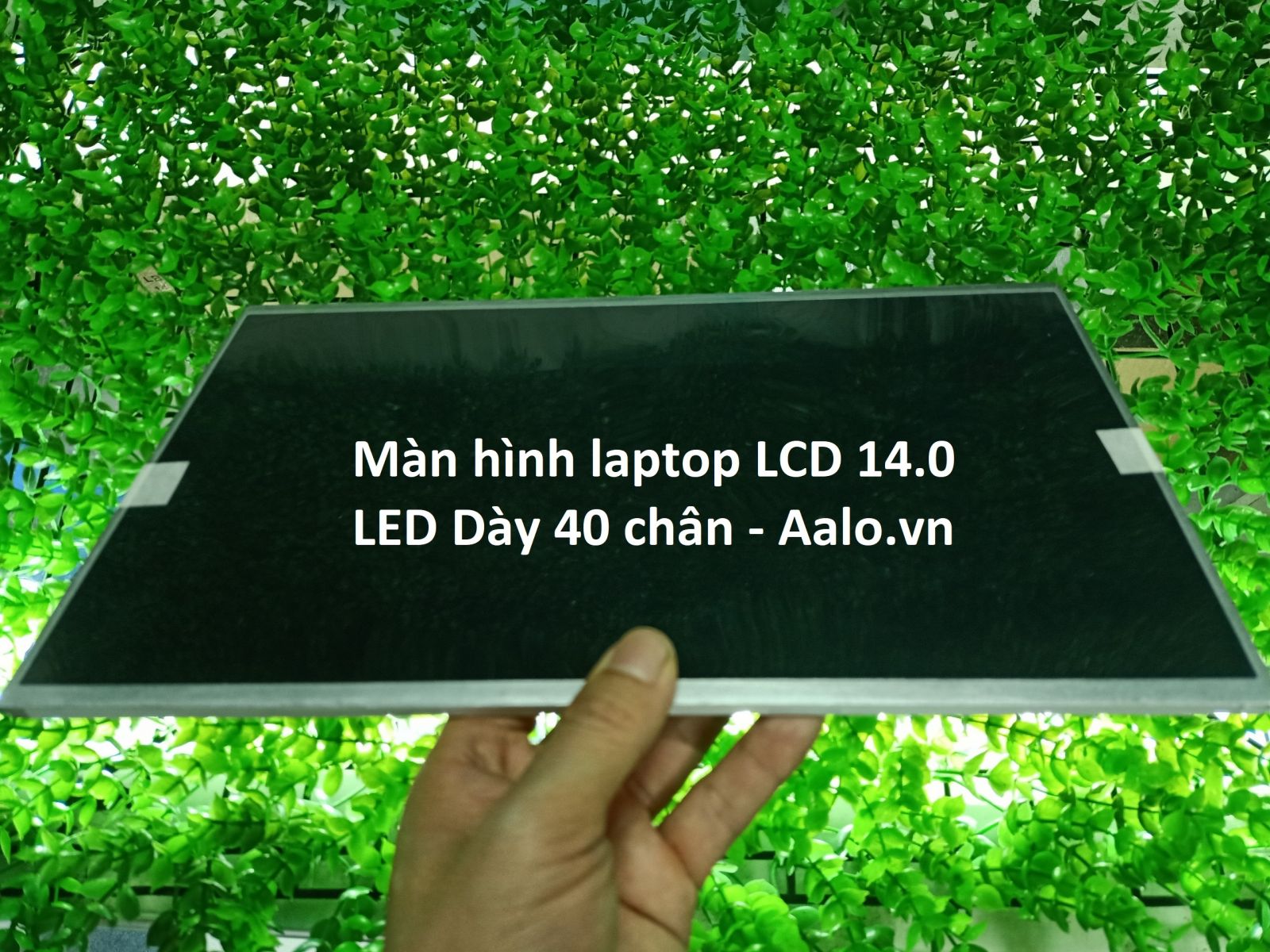 Màn hình Laptop Satellite Pro C840 Series - Aalo.vn