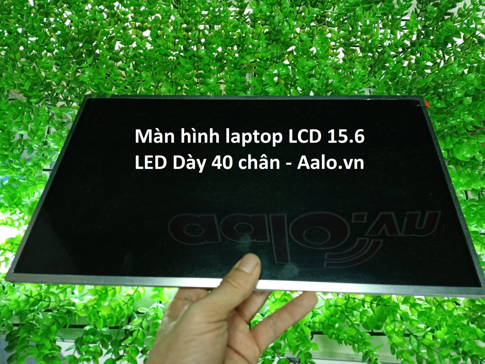 Màn hình Laptop Sony Vaio VPC-CB Series - Aalo.vn