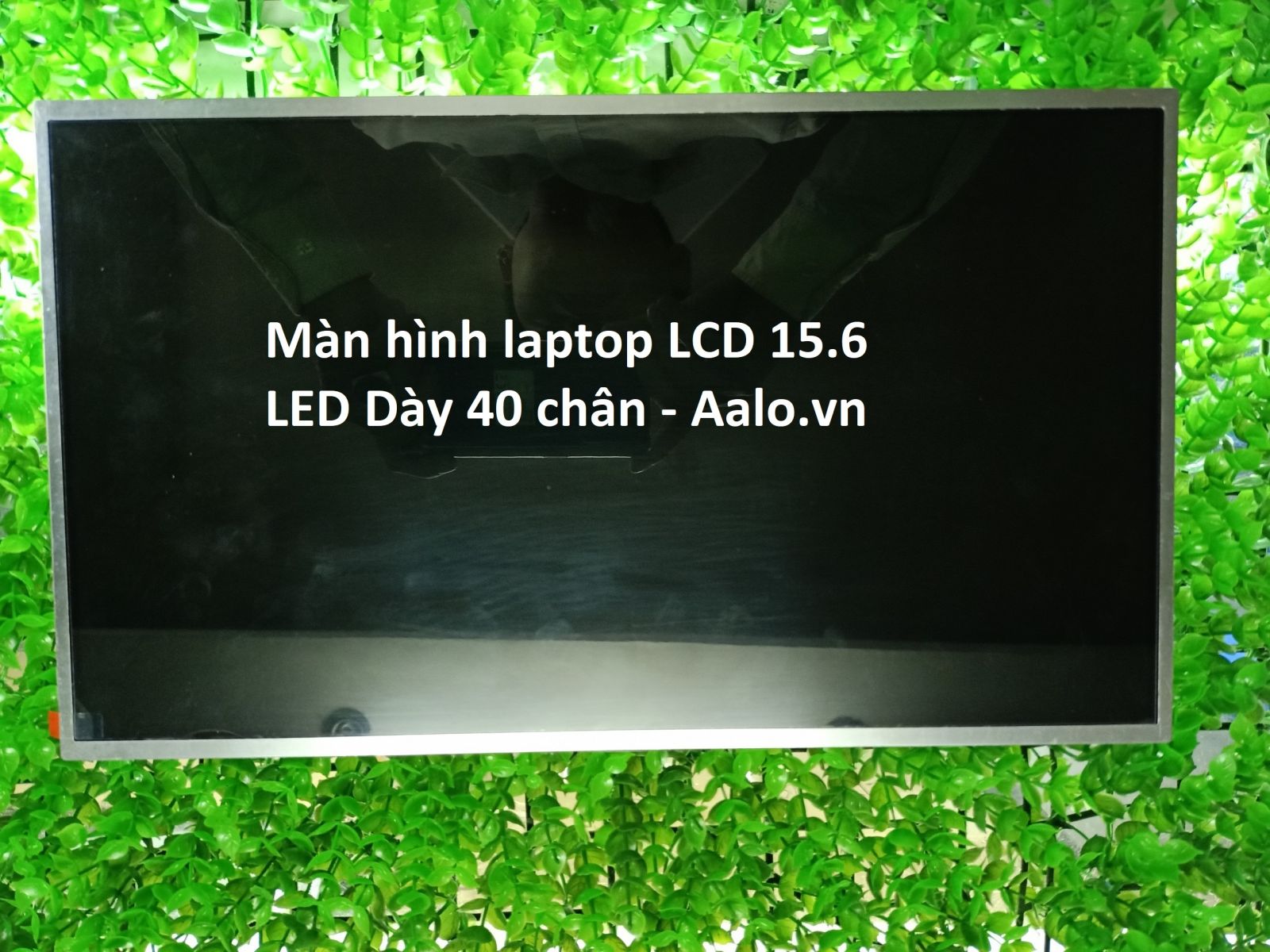 Màn hình Laptop Toshiba Satellite L505 Series - Aalo.vn
