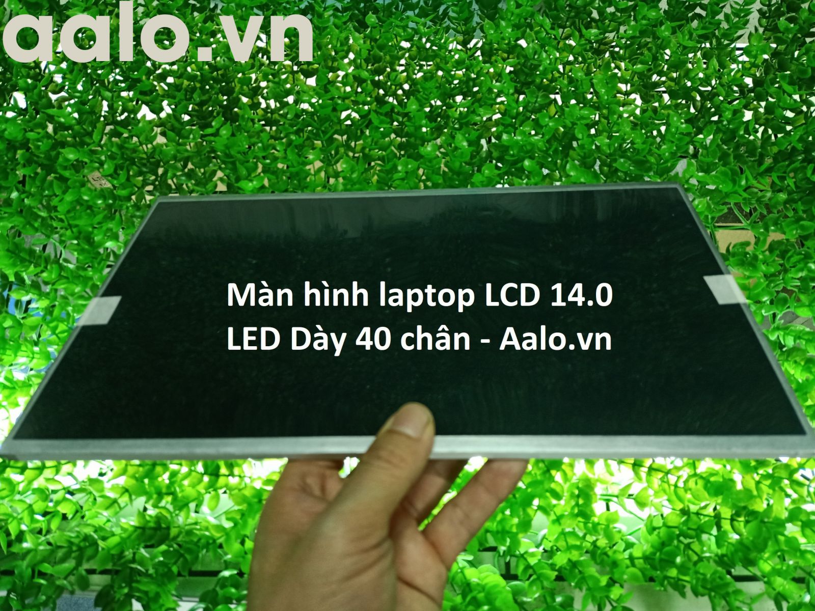 Màn hình laptop Dell Inspiron 1400, 1464 - Aalo.vn