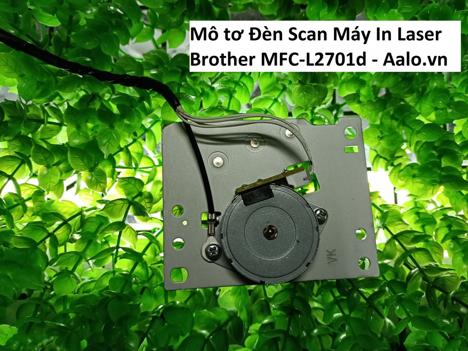 Mô tơ Đèn Scan Máy In Laser Brother MFC-L2701d - Aalo.vn