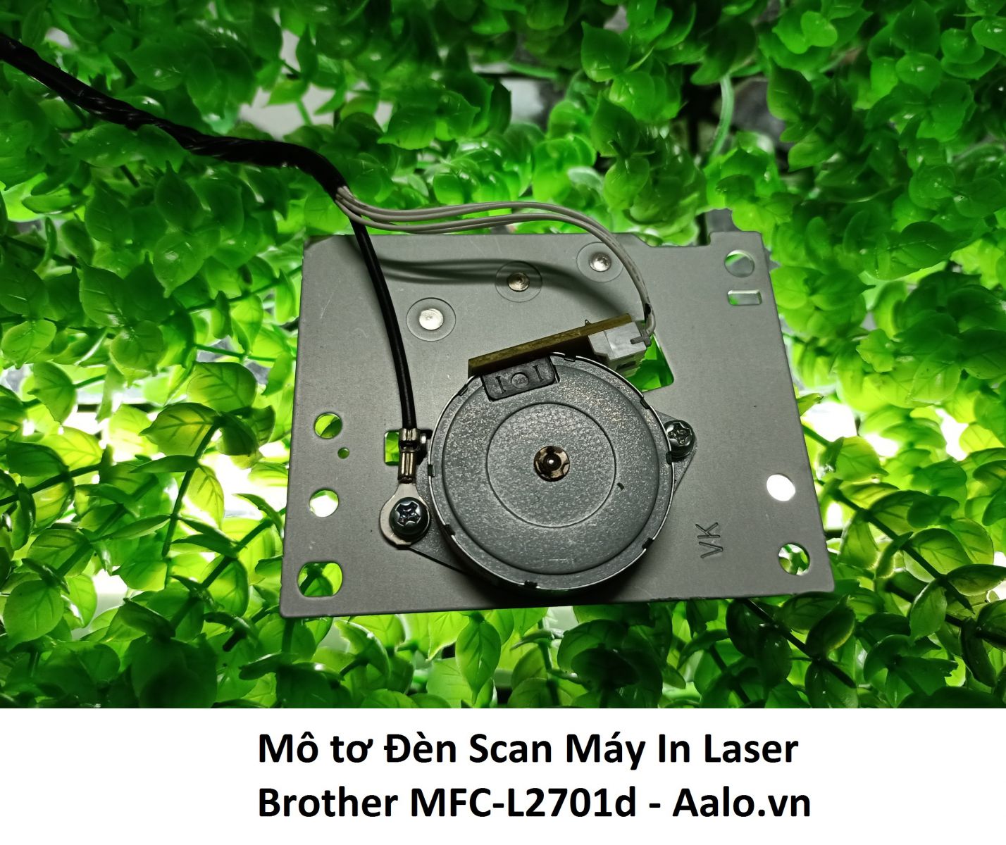 Mô tơ Đèn Scan Máy In Laser Brother MFC-L2701d - Aalo.vn