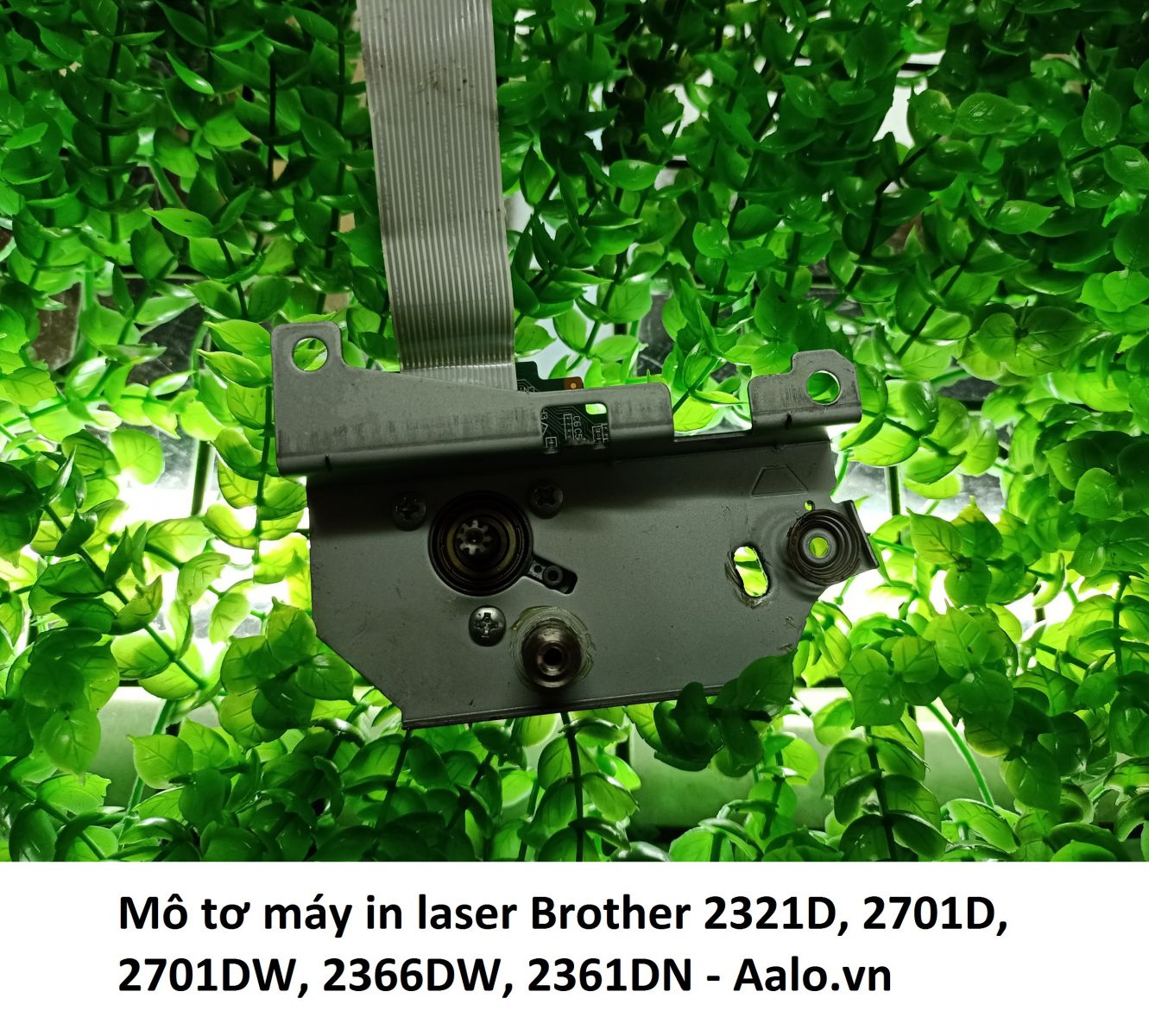 Mô tơ máy in laser Brother 2321D, 2701D, 2701DW, 2366DW, 2361DN - Aalo.vn
