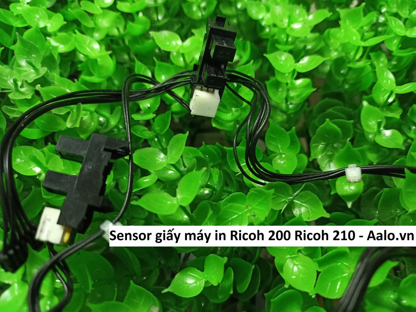 Sensor giấy máy in Ricoh 200 Ricoh 210 - Aalo.vn