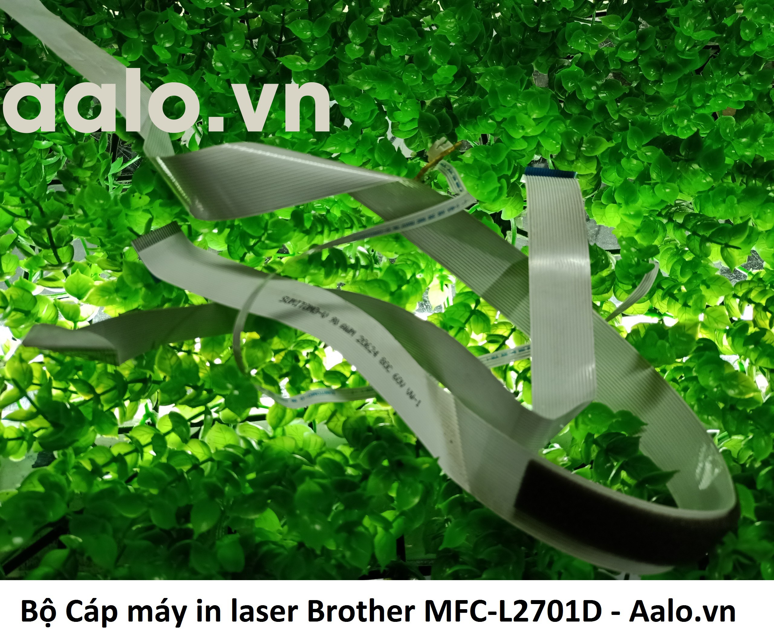 Bộ Cáp máy in laser Brother MFC-L2701D