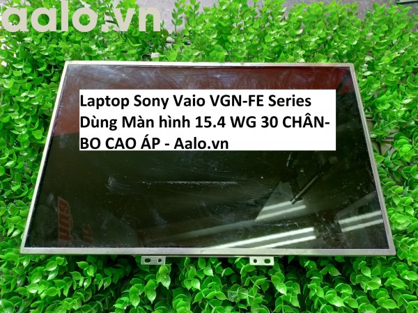 Màn hình Laptop Sony Vaio VGN-FE Series