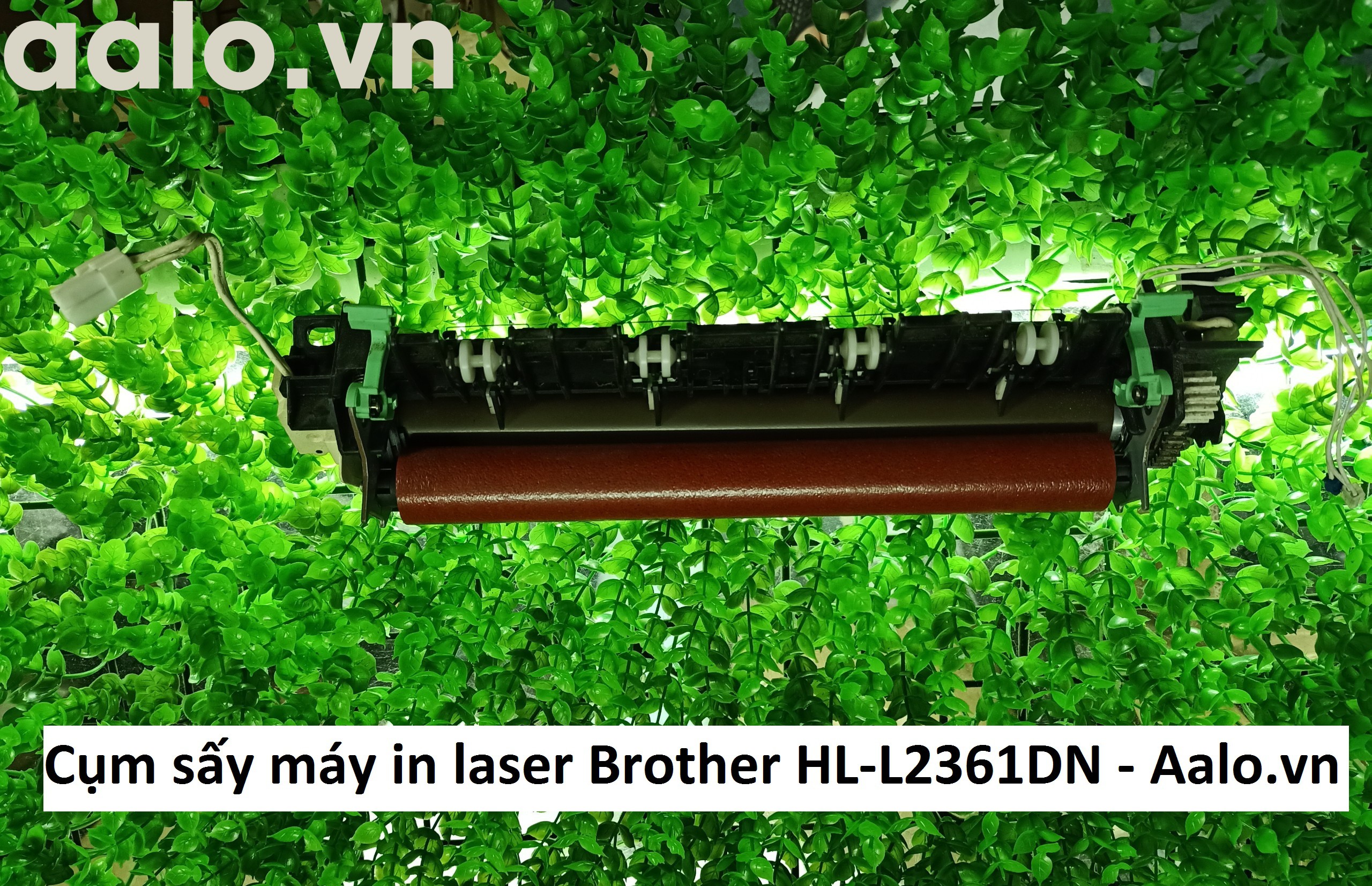 Cụm sấy máy in laser Brother HL-L2361DN