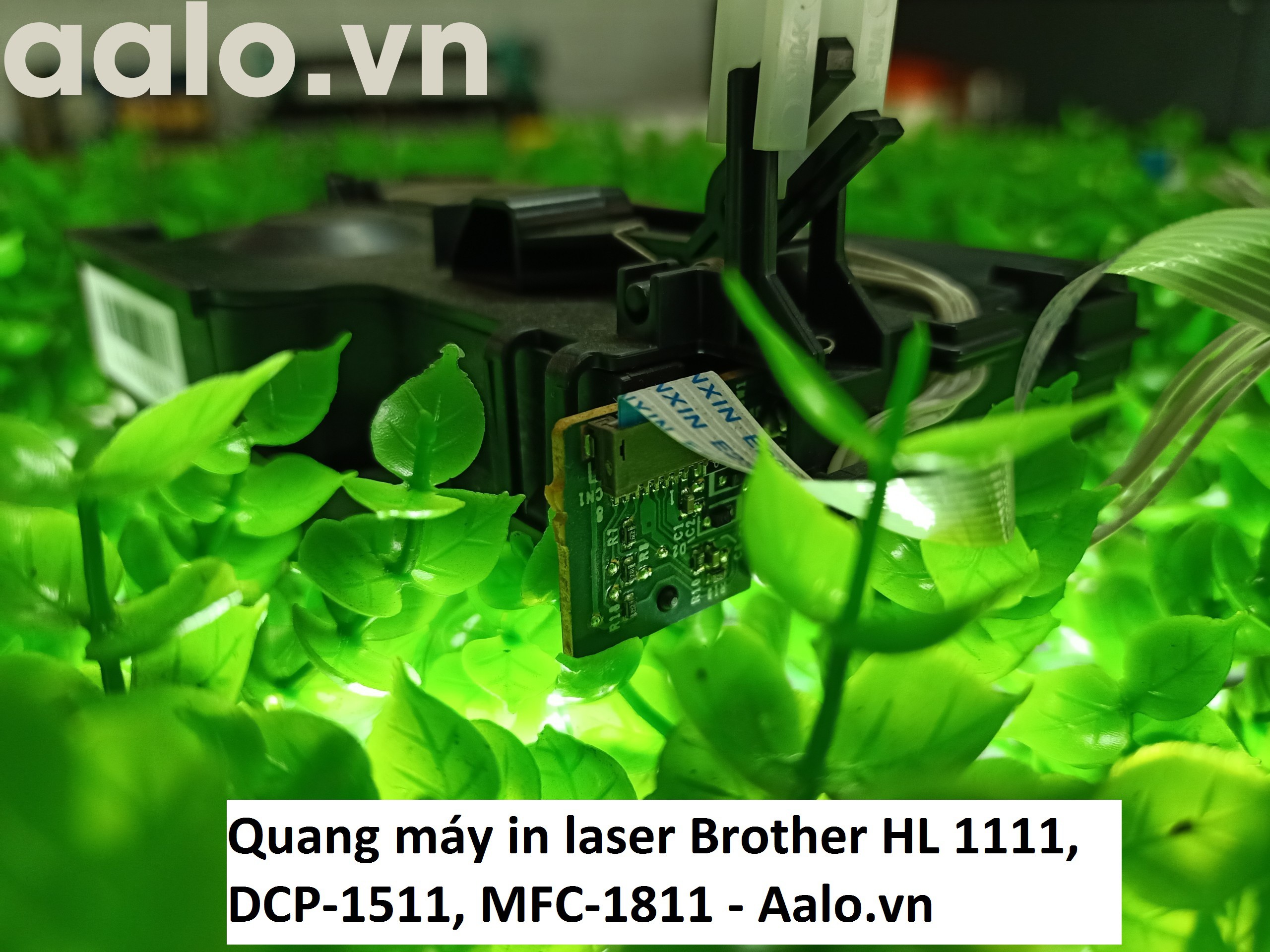 Quang máy in laser Brother HL 1111, DCP-1511, MFC-1811