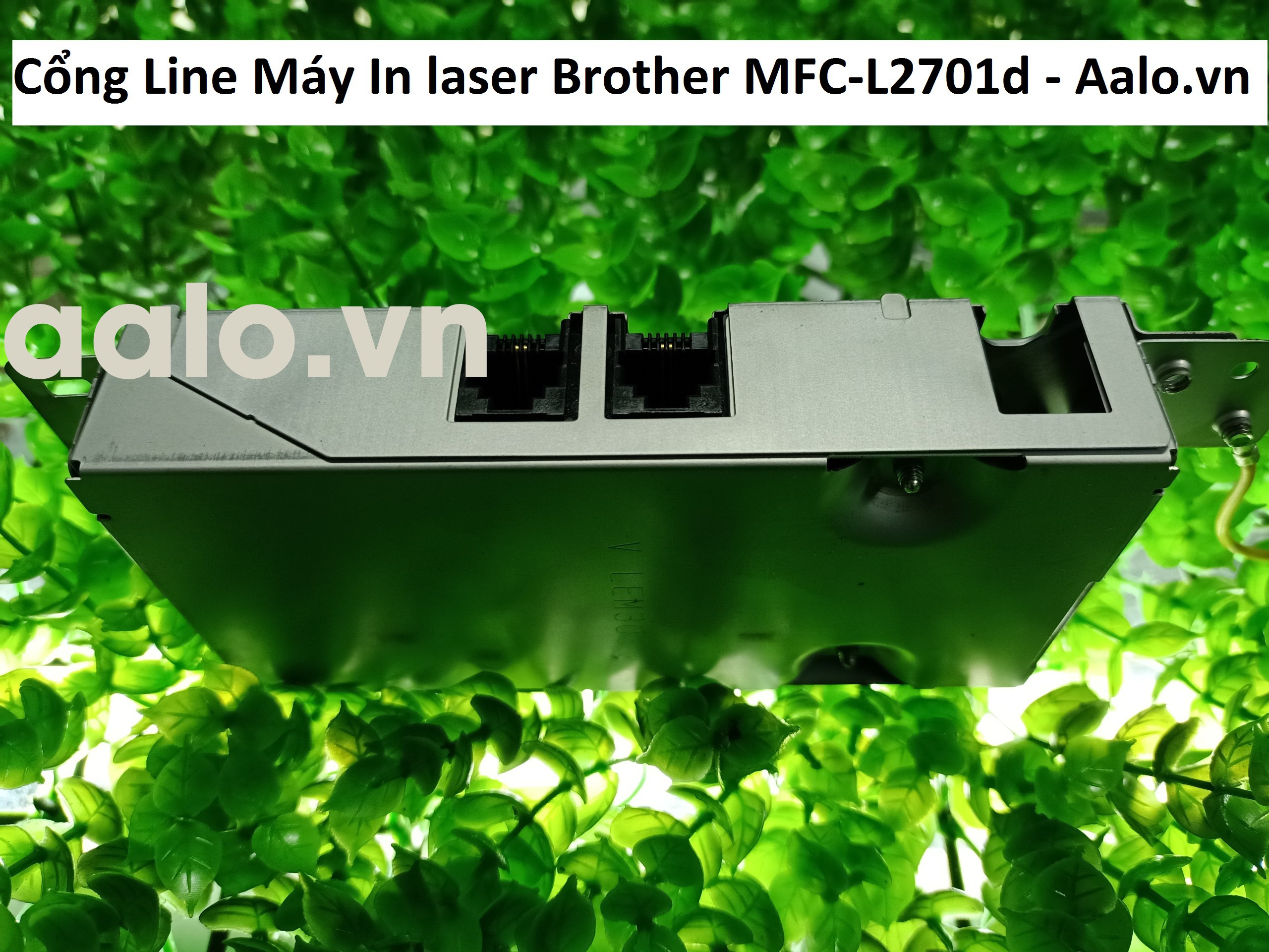 Cổng Line Máy In laser Brother MFC-L2701d